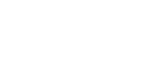 light logo
